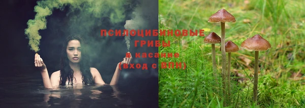 спайс Гусиноозёрск