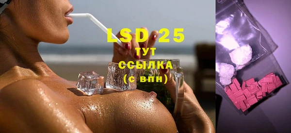 spice Гусев