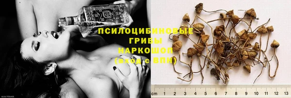 spice Гусев