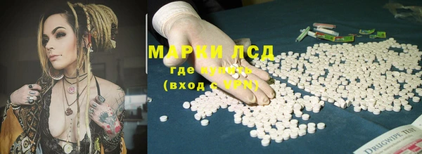spice Гусев