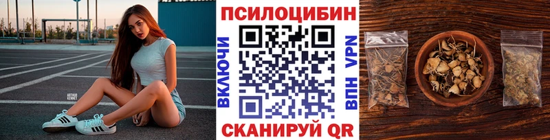 мориарти формула  Александровское  Псилоцибиновые грибы GOLDEN TEACHER  купить наркотик 